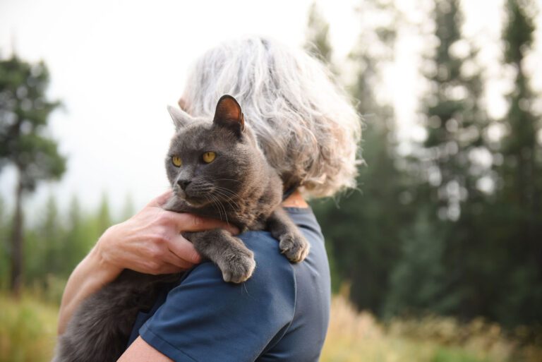 Dr. Lowing holding a grey cat over her shoulder