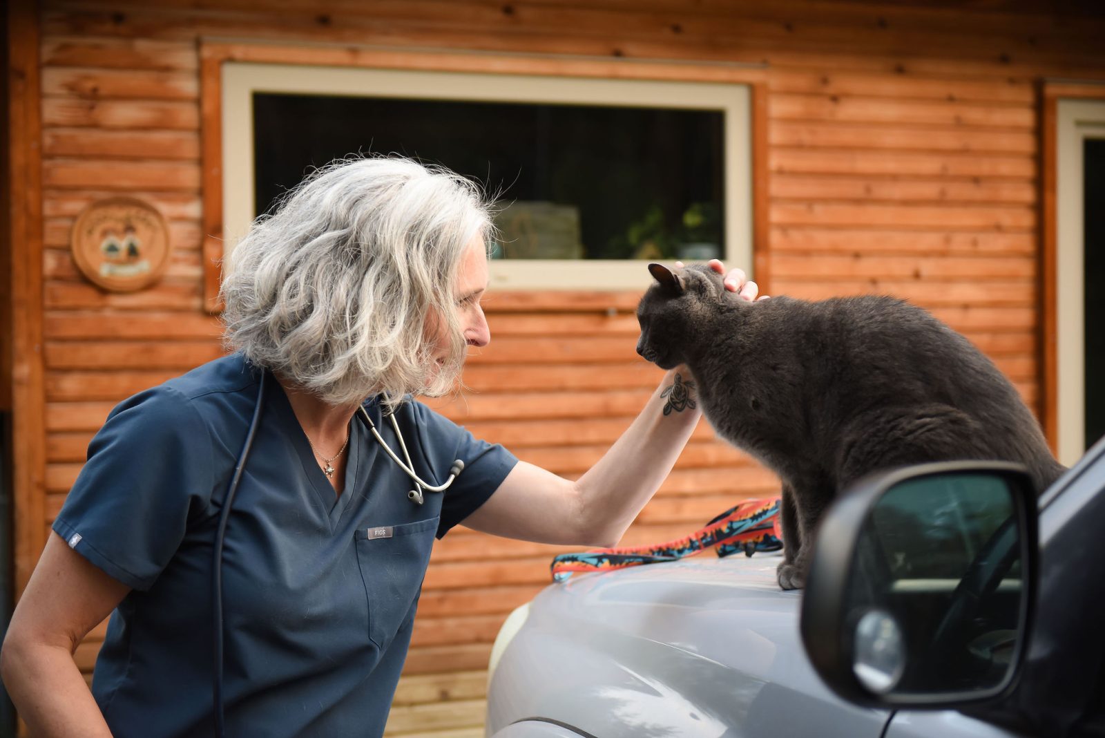 Dr. Lowing greeting a cat during a house call